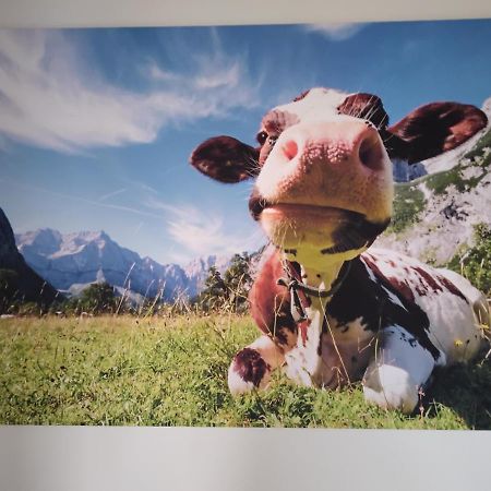 Zuhause In Hofs ,Leutkirch Im Allgaeu Bagian luar foto