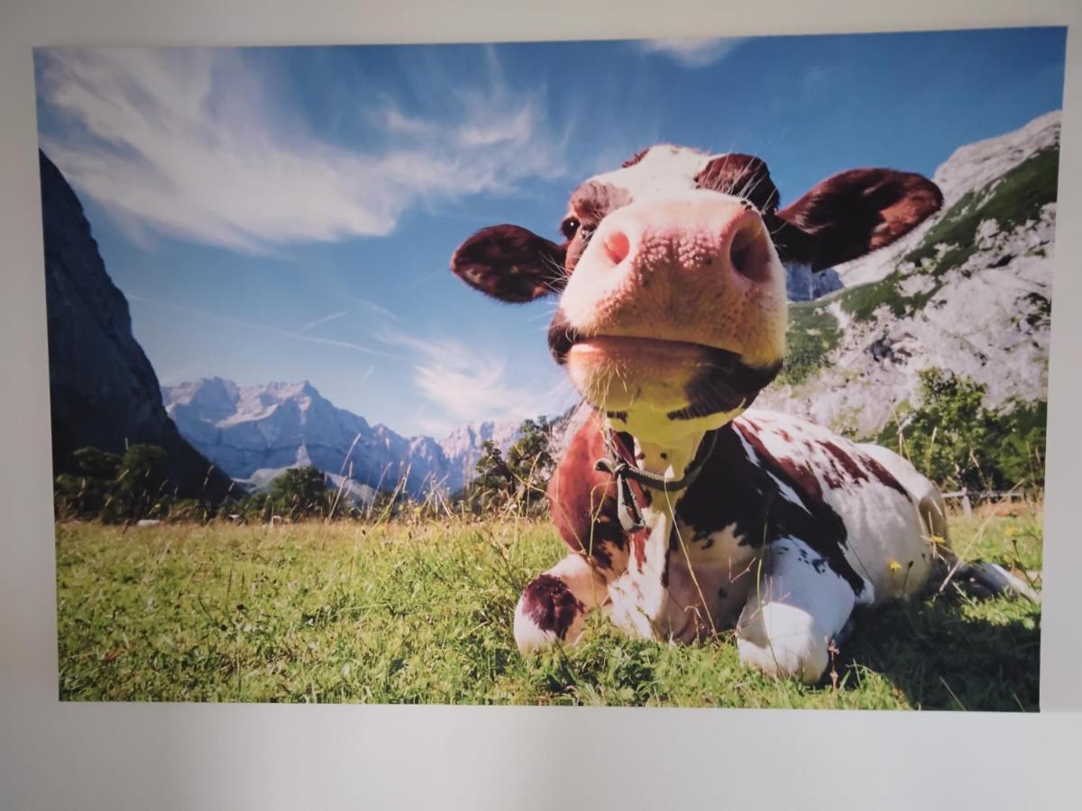 Zuhause In Hofs ,Leutkirch Im Allgaeu Bagian luar foto